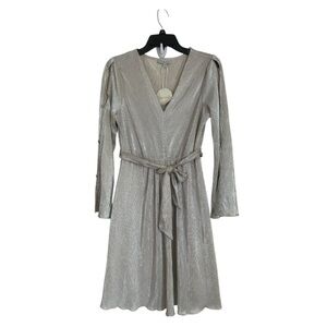 Chenault Silver Long Sleeve Dress